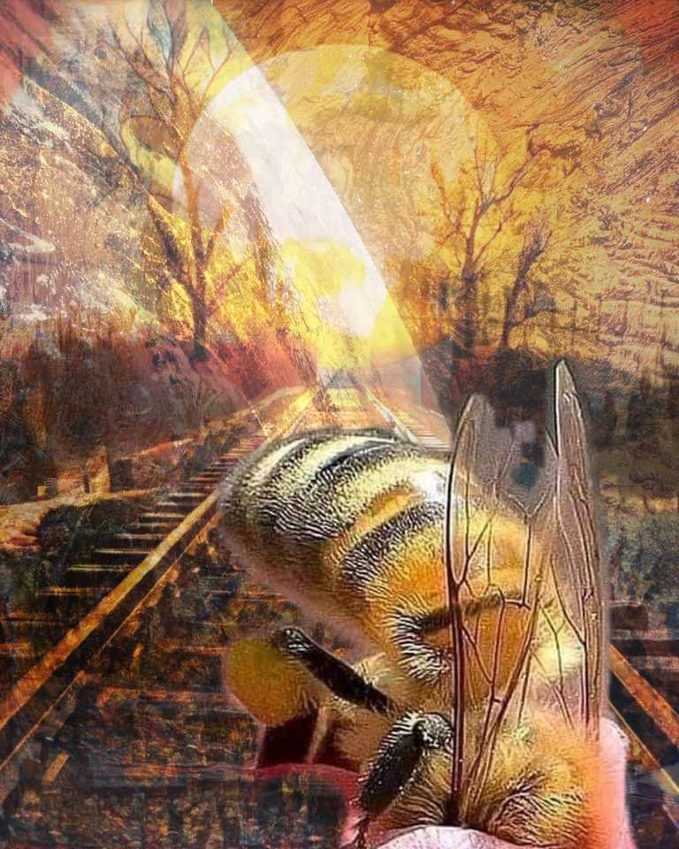 'Just live to bee'